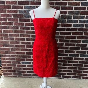 Beautiful Calvin Klein red rose cocktail dress